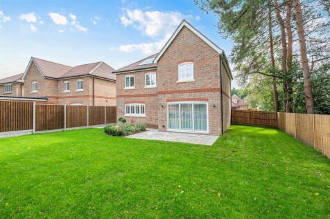 SILVER BIRCHES- (3).jpg