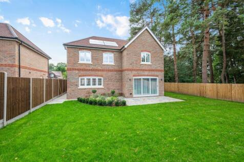 SILVER BIRCHES- (4).jpg