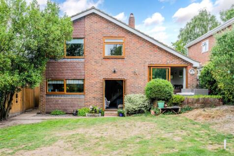 ROSE BUSHES, 63 (4).jpg