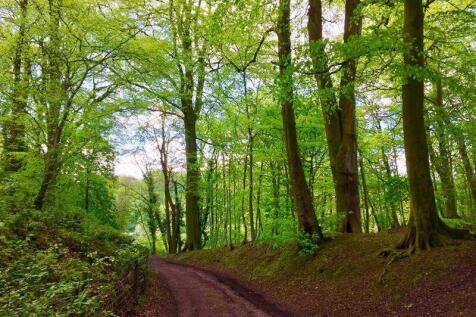 WOODLAND