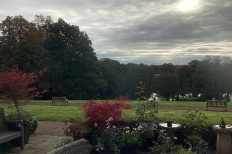 PATIO VIEW