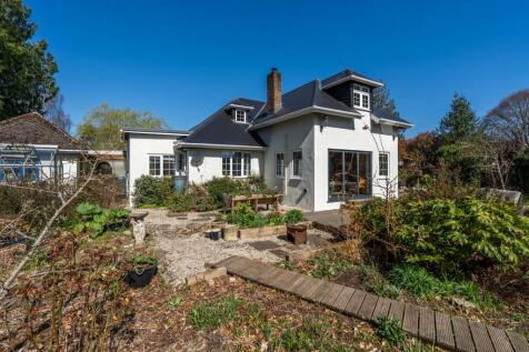 Rear Elevation