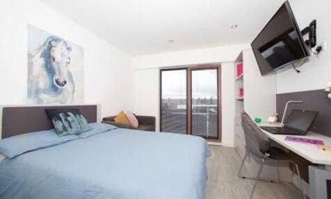 BEDROOM/LIVING AREA