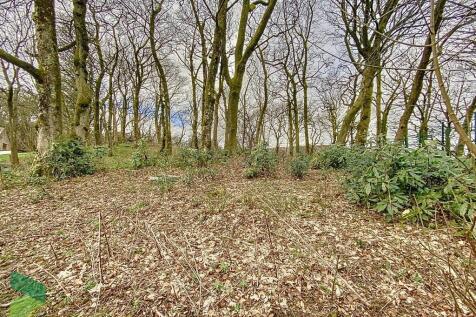 Private woodland ...