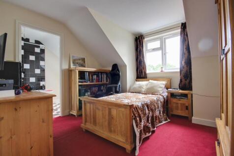 The Paddock (14).jpg