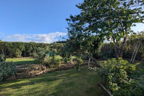 Swinemoor Lane (25).jpg