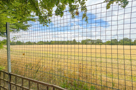 20250822_124249783_iOS_edited