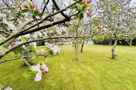 Property Image 67