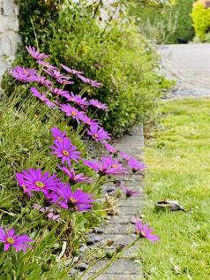 Property Image 79