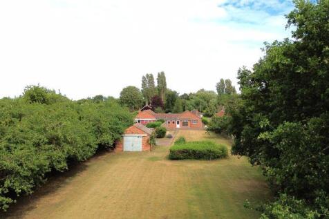 Rear garden elevated