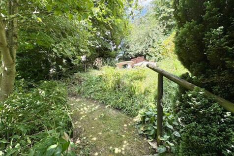 Pathways through garden