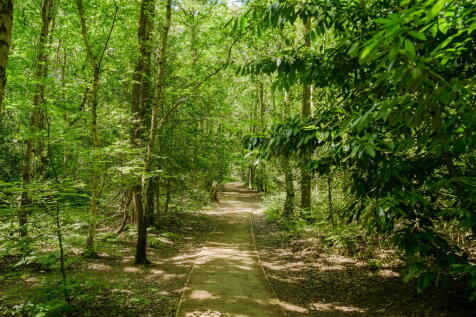 Oxshott Heath