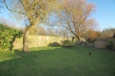 Property Image 32