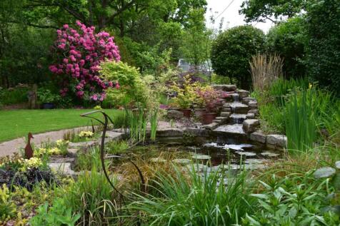 Lilly Pond