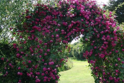 St Helens Station Book - 17.jpg