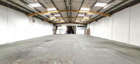 20250808_151414  Edited.jpg