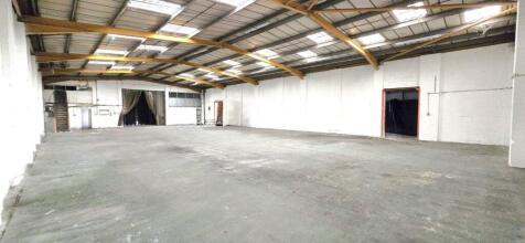 20250808_151434  Edited.jpg