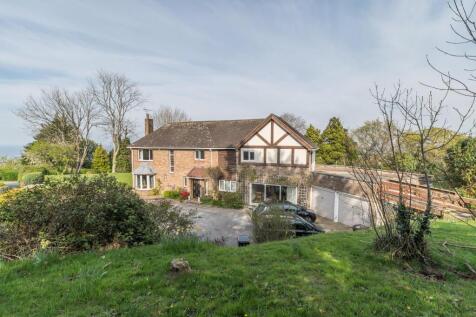 front of lemon orchard.jpg