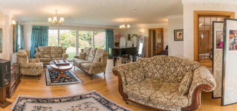 Pano lounge Lemon.jpg