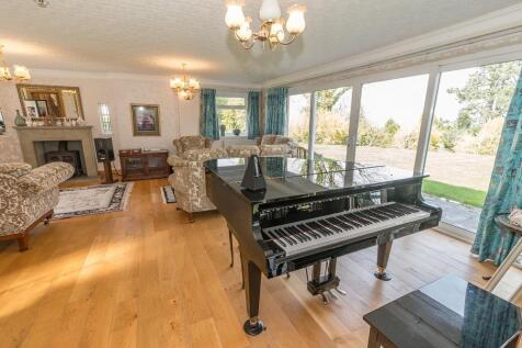 lounge lemon orchard.jpg