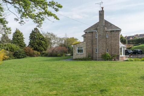 side of lemon orchard.jpg