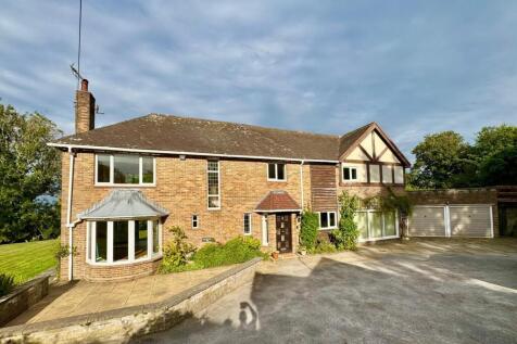 PHOTO-2025-08-12-07-05-19 (1).jpg