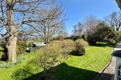 PHOTO-2025-04-13-20-45-42 (20).jpg