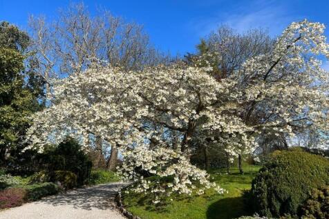 PHOTO-2025-04-16-16-25-32 (5).jpg