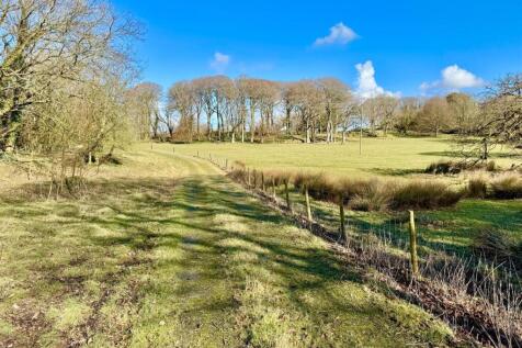 PHOTO-2025-05-07-16-17-15 (16).jpg