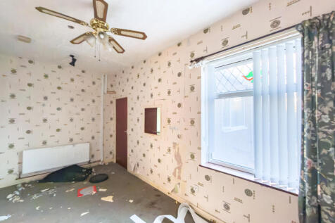 IMG 8188 T202511241608.jpg