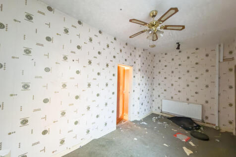 IMG 8190 T202511241608.jpg