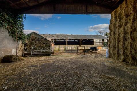 Town Farm