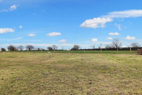 South Facing Garden Plot
