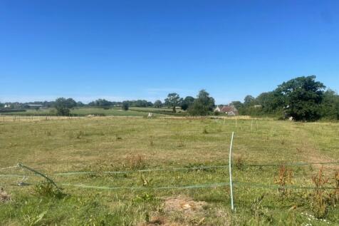 WhatsApp Image 2025-07-21 at 17.32.30