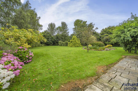 7e51deed-9cd2-422...