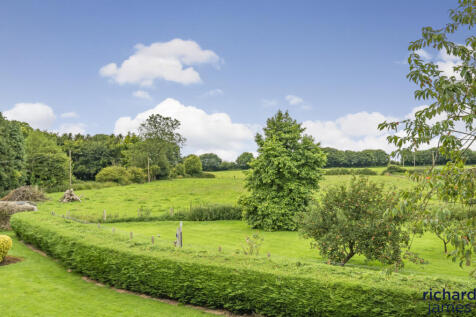 View Onto Open Field