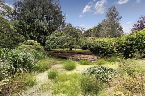 Communal Garden pic2