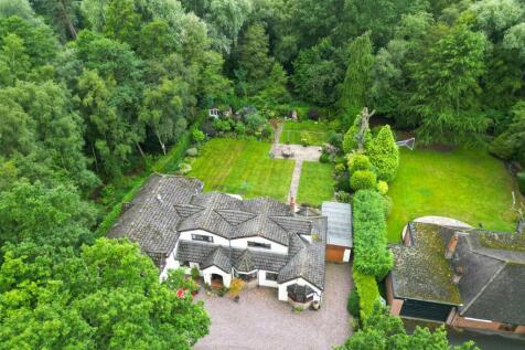 DJI_0323.jpg