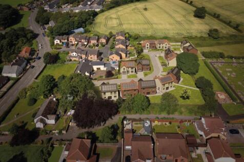 Plot view