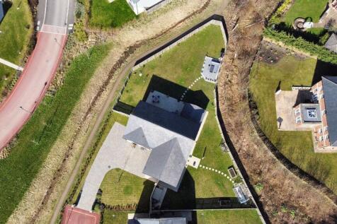 Plot view