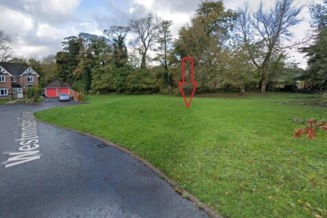 Street View Blenheim T202509290923.jpg