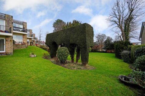 Communal Gardens 