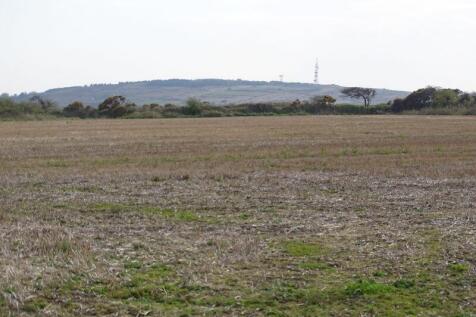 field b