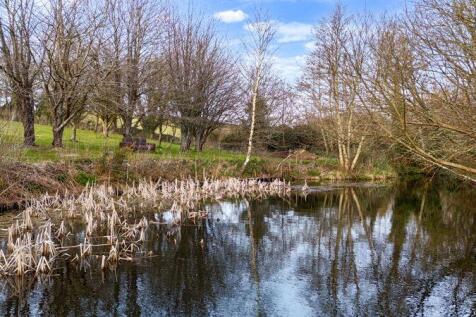 pond