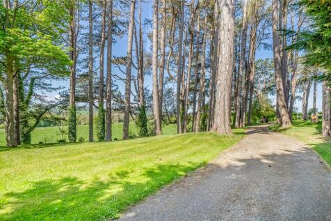 Grounds &amp; Driveway