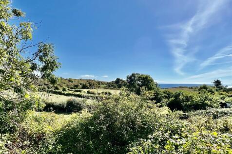 21 Landscove - 6.jpeg