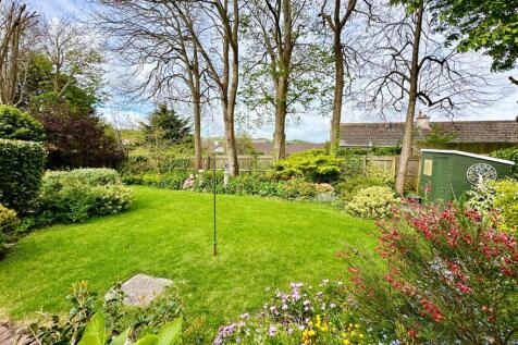 Lawn Across Planted Beds.JPG