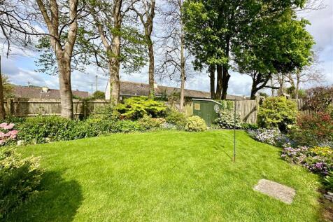 Rear Lawn.JPG