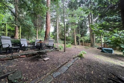 Woodland