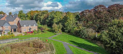 DJI_0831.jpg